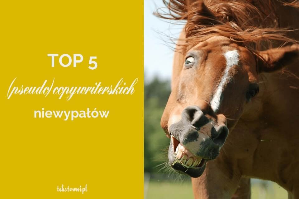Błędy na stronach internetowych - grafik z tytułem + obrazek przedstawiający wyszczerzonego konia.